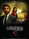 谜一样的双眼 El secreto de sus ojos(2009)