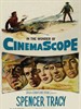断戈浴血记/Broken Lance(1954)