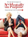 爱非偶然 Accidentally on Purpose(2009)