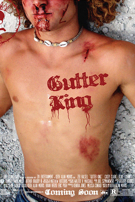 Gutter Repair Gutter Repair