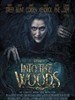 魔法黑森林/Into the Woods(2014)
