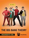 生活大爆炸 The Big Bang Theory(2007)