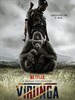 维龙加/Virunga(2014)