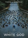 白色上帝 White God(2014)
