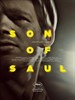 索尔之子/Saul fia(2015)