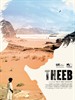 希布/Theeb(2014)