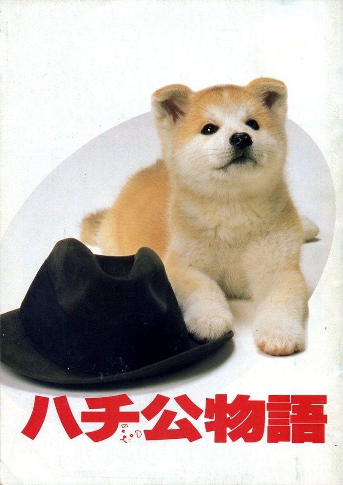 忠犬八公物语