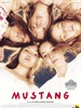 野马/Mustang(2015)