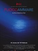 海上火焰/Fuocoammare(2016)
