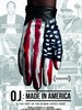 O.J.：美国制造/O.J.: Made in America(2016)
