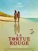 #红海龟/The Red Turtle(2016)