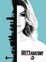 实习医生格蕾 Grey's Anatomy(2005)