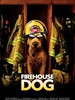 消防犬/Firehouse Dog(2007)
