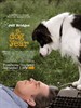 狗年/A Dog Year(2009)