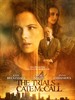 凯特·麦考的审判/The Trials of Cate McCullough(2013)