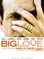 大爱Big Love (2006)