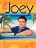 乔伊/Joey(2004)