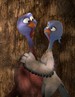 火鸡/Turkeys(2011)