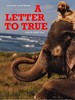 狗狗人生/A Letter to True(2004)