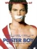 海报男孩/Poster Boy(2004)