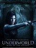 黑夜传说前传：狼族再起/Underworld: Rise of the Lycans(2009)