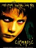 鬼别墅/Darkness(2002)