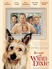 都是戴茜惹的祸/Because of Winn-Dixie(2005)