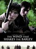 风吹麦浪/The Wind That Shakes the Barley(2006)