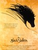 黑神驹/The Black Stallion(1979)