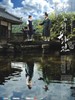 风之画员/바람의 화원(2008)