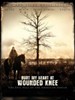 魂归伤膝谷/Bury My Heart at Wounded Knee(2007)