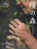 原木之森 Mogari No Mori(2007)