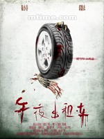 午夜出租车Midnight Taxi (2009)