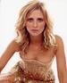 莎拉·米歇尔·盖拉 Sarah Michelle Gellar)