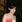 Roxane Mesquida