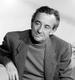 路易·马勒 Louis Malle)