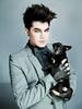 亚当·兰伯特 Adam Lambert