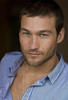 安迪·怀特菲尔德 Andy Whitfield