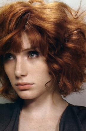布莱丝·达拉斯·霍华德/bryce dallas howard