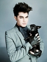 亚当·兰伯特 Adam Lambert