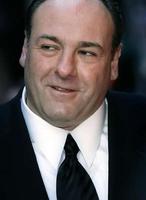 詹姆斯·甘多菲尼 James Gandolfini