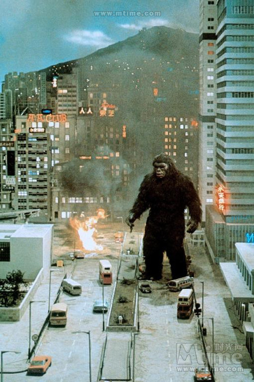 猩猩王 剧照 #02