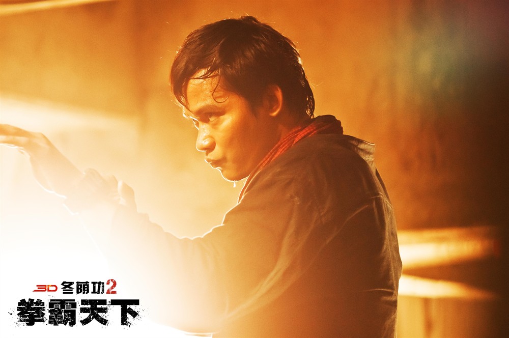 冬荫功2：拳霸天下