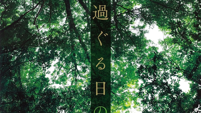 往日的山猫剧照3