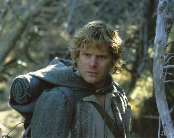 77.山姆(samwise gamgee)