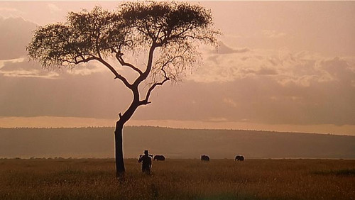1985 走出非洲,摄影画面是最大的亮点