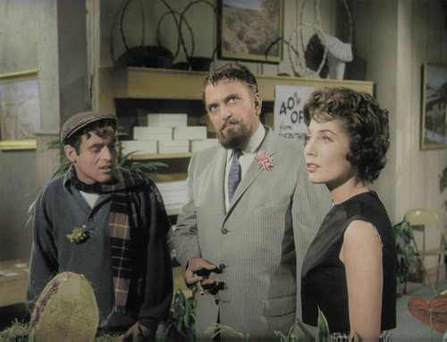 恐怖小花张着血盆大口喊着饥肠辘辘连骨带肉齐吞