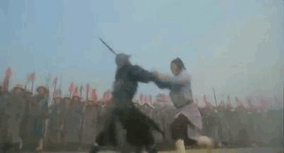 《一代宗师》,《杀死比尔2》,《铁马骝》,《黑侠》,《精武英雄》