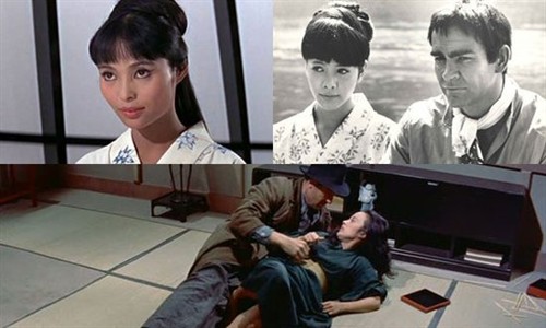 桑卡卡夫的虫壳