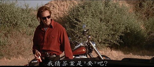 1994狂野鸳鸯赌命逃亡之路金贝辛格胴体火辣亡命大煞星